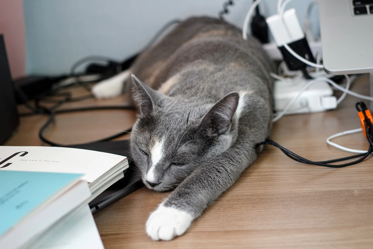 9969D8375A88B2BB1718BE