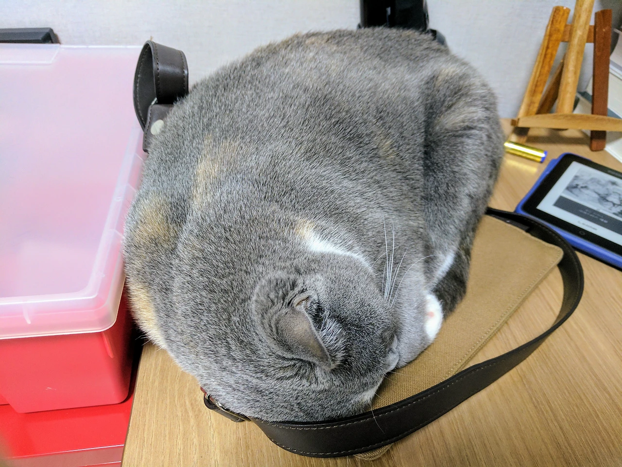 99A31B3D5A88B3C2150521