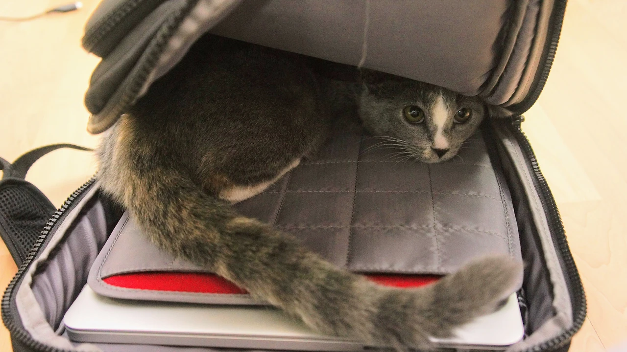 99B1CE385A82F0CA24EF67