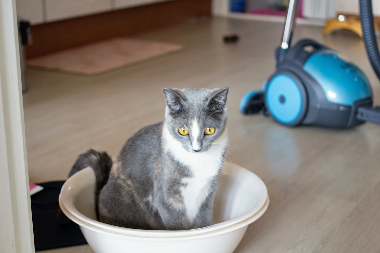 9997BF405A82F0BF244B43