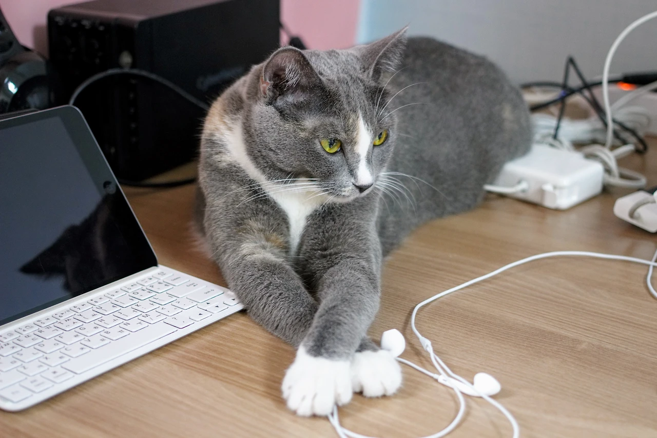 997398365A88B2880F23AC