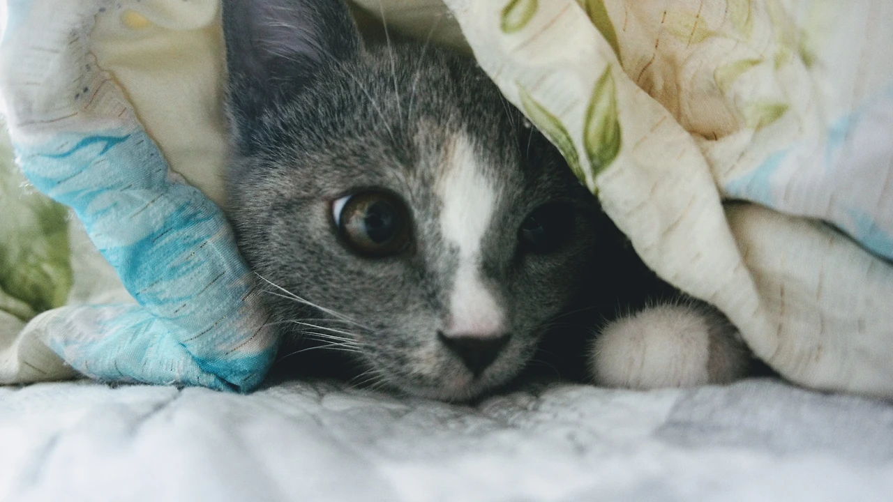 999653335A82F0C439104D