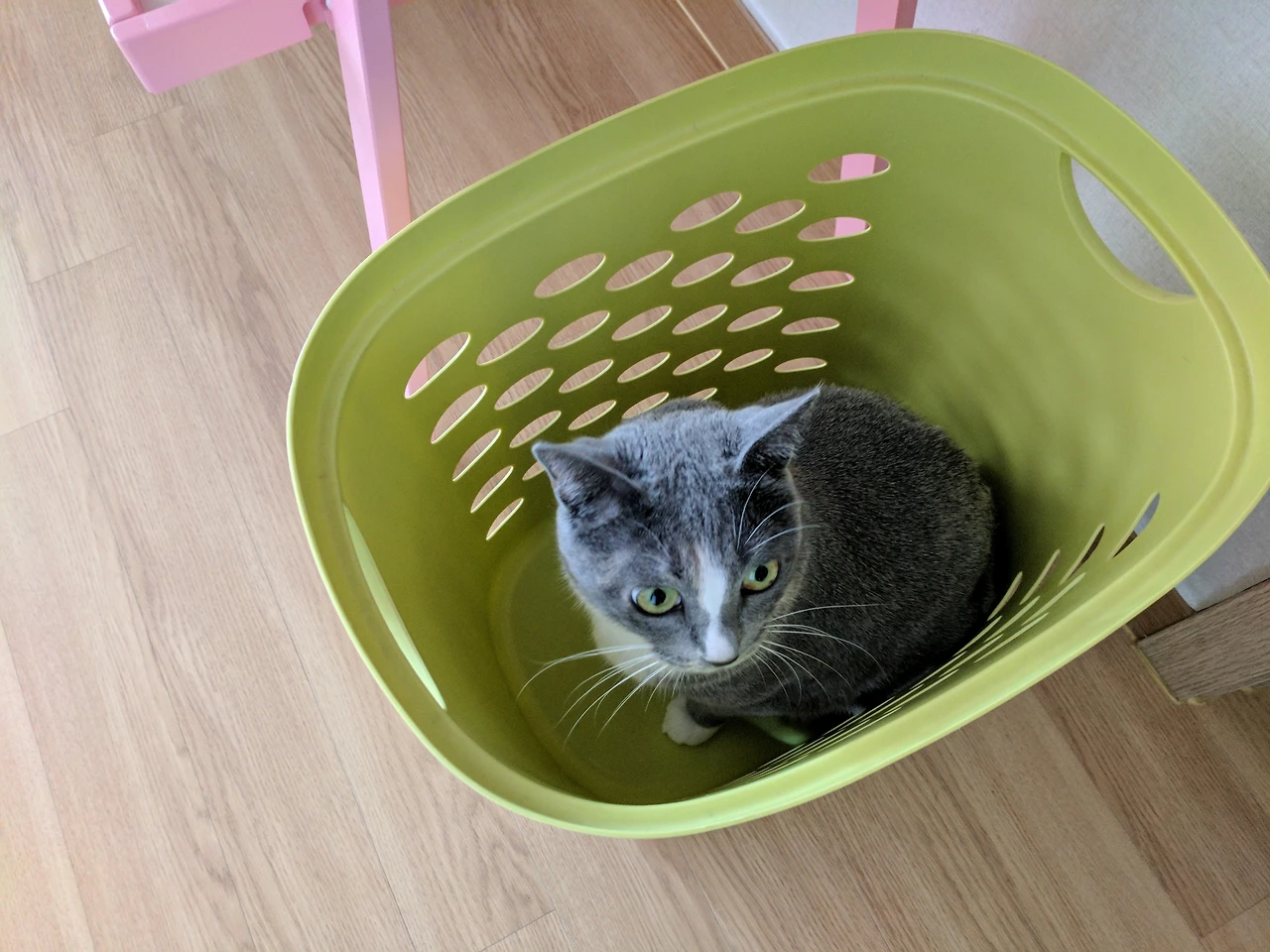 990BA53B5A82F0C2135056