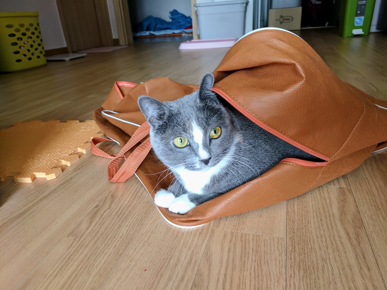 997DA23D5A82F0C3066710