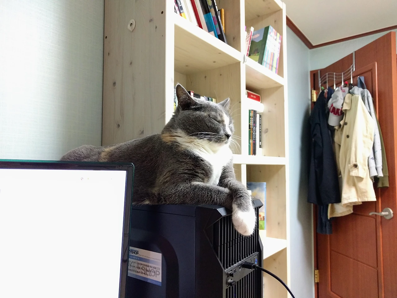 991229485A88B34510FB41