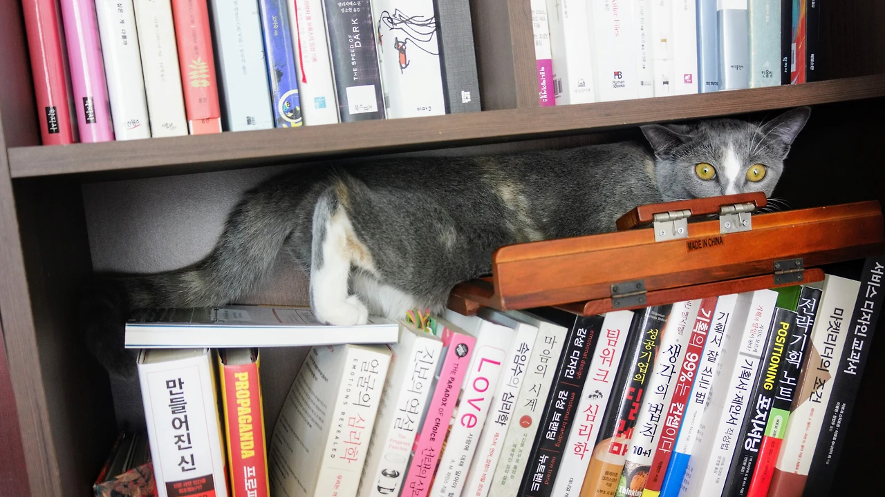 99A53B3E5A82F0C9068D09