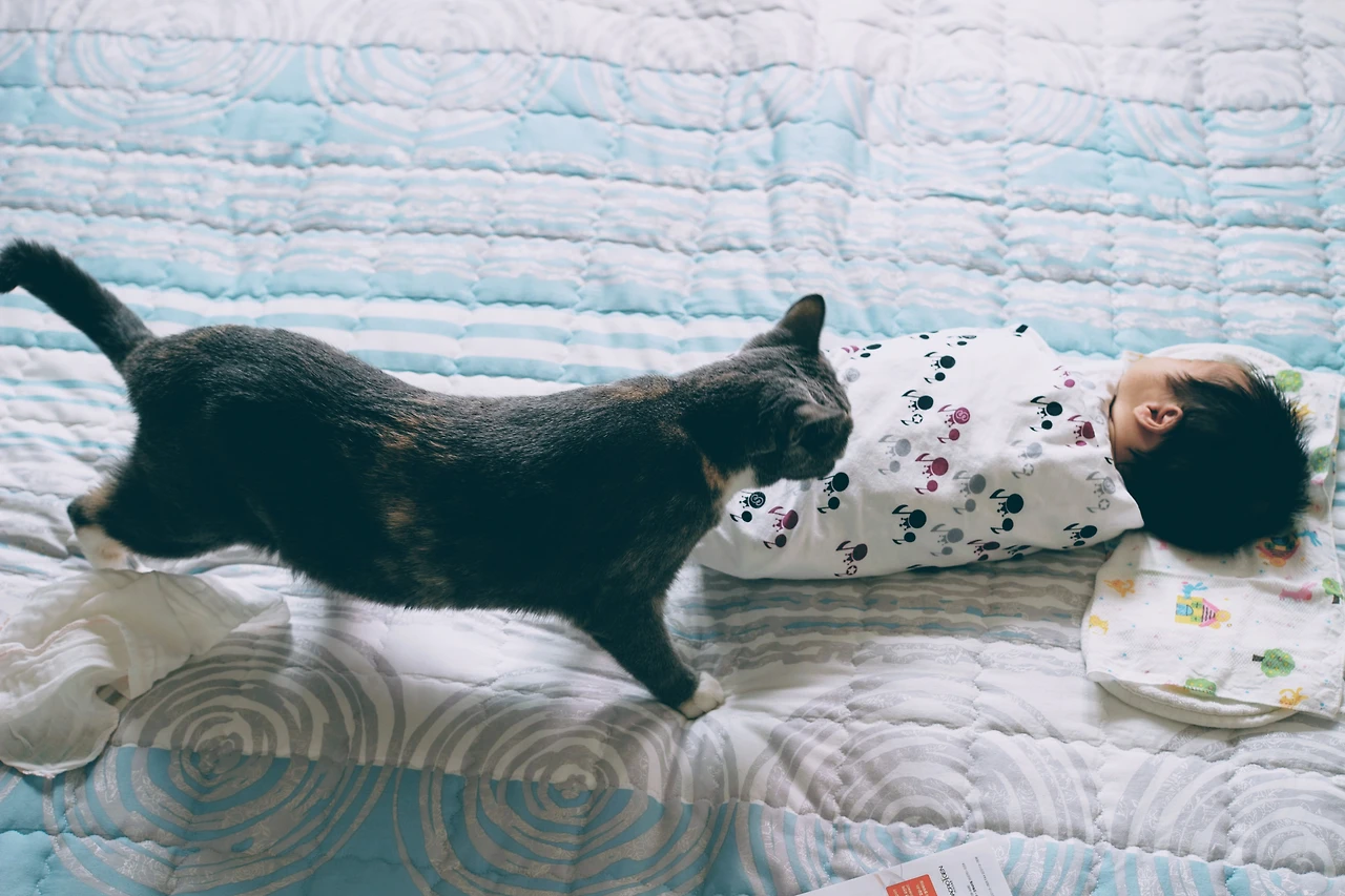 992AE8395A75B4123B4B5E