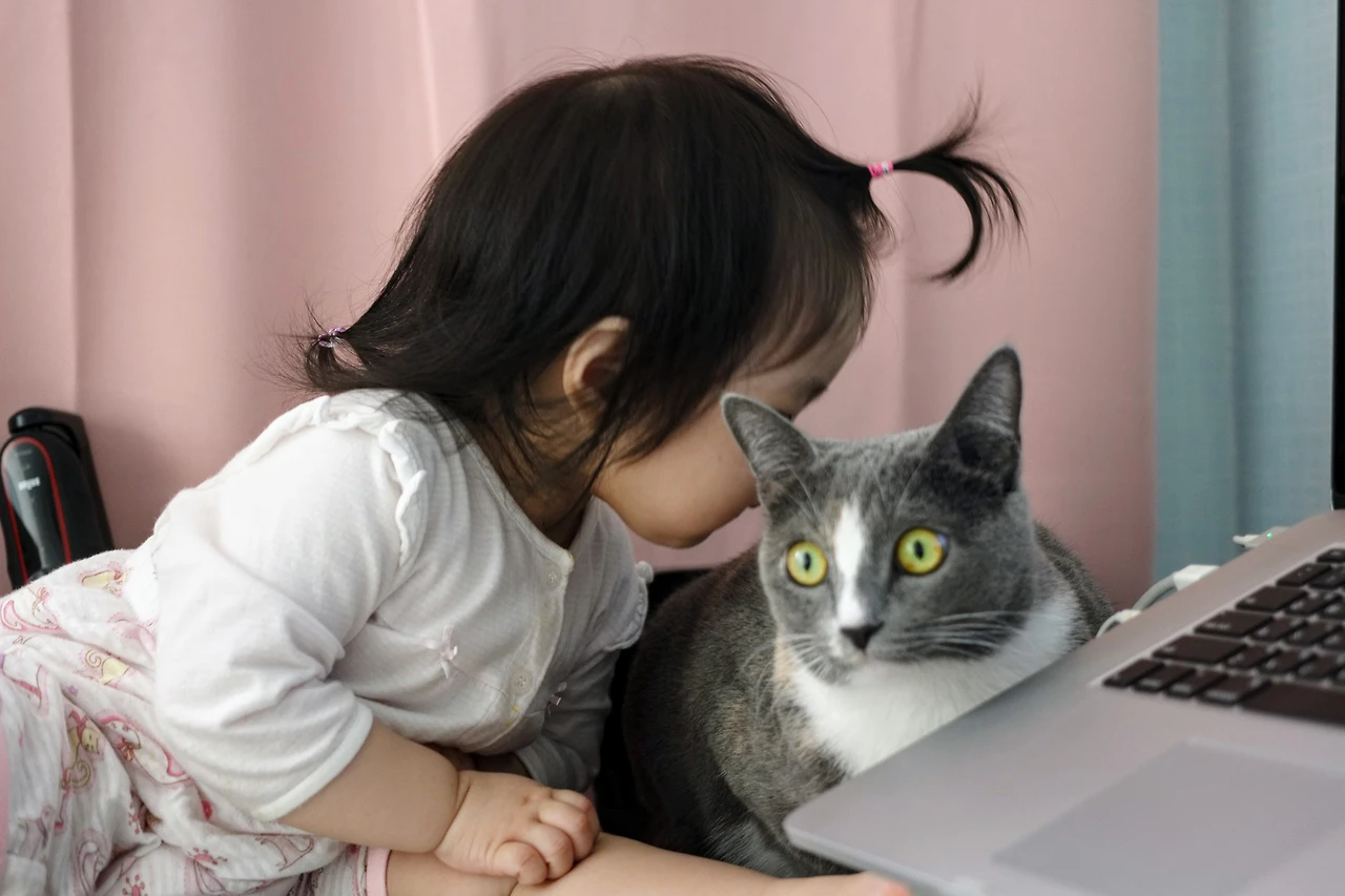 99A875445A88B2D61223C7