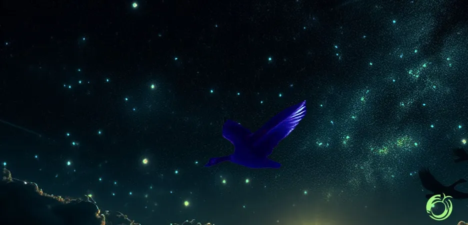 %EB%B0%A4%ED%95%98%EB%8A%98%EC%9D%98%EC%83%88%EC%99%80%EB%B3%84.jpg?type=w1