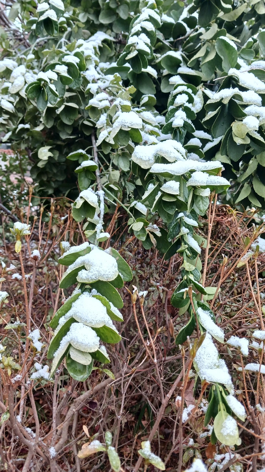 KakaoTalk_20250127_190956098_01.jpg?type=w1