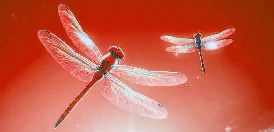 %EC%9E%A0%EC%9E%90%EB%A6%AC1.jpg?type=w1