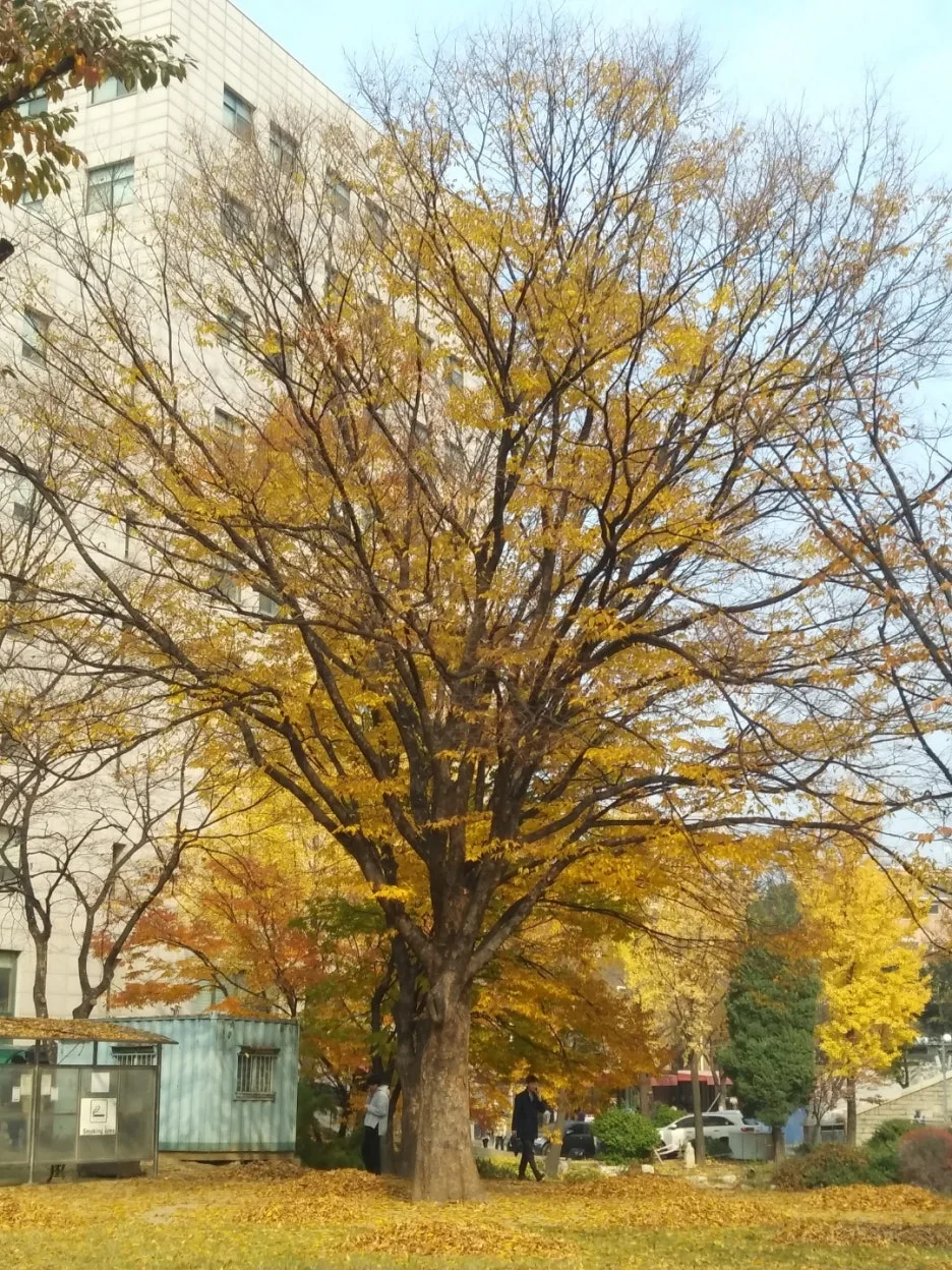 KakaoTalk_20220930_215748416_17.jpg?type=w1