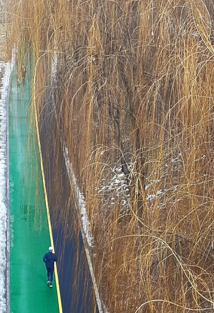 %EC%88%98%EC%96%91%EB%B2%84%EB%93%A4%EC%95%84%EB%9E%98.jpg?type=w1