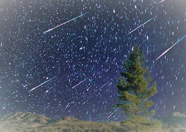 %EC%9C%A0%EC%84%B1%EC%9A%B01.jpeg?type=w1