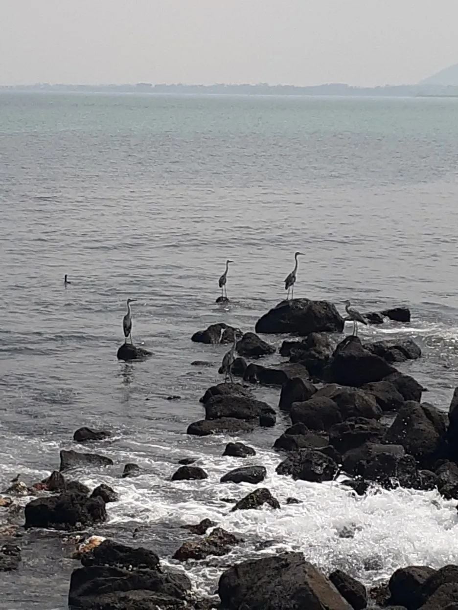 KakaoTalk_20220929_200257030_25.jpg?type=w1