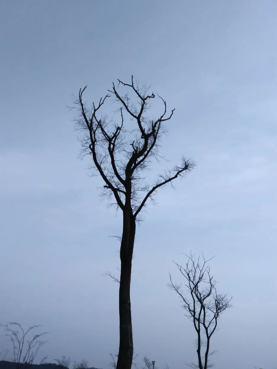 KakaoTalk_20220929_200731033_05.jpg?type=w1