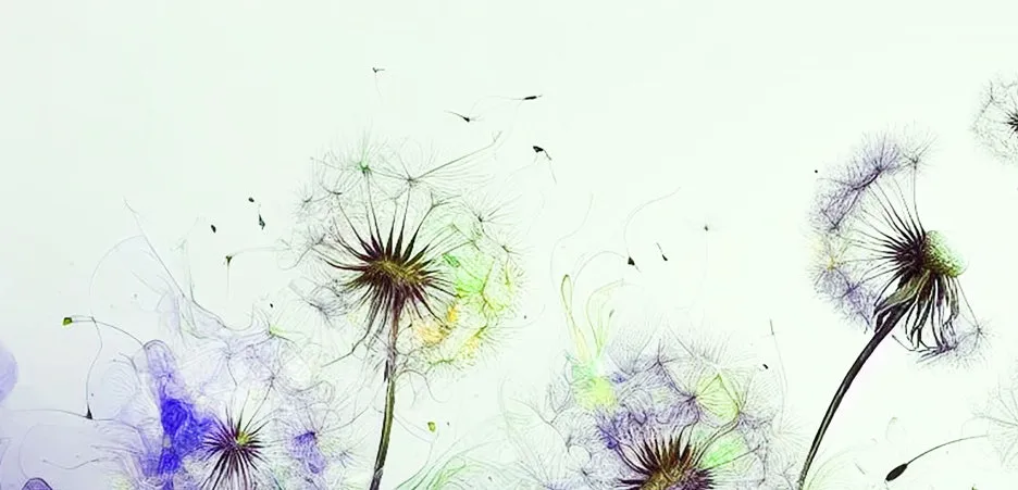 %EB%AF%BC%EB%93%A4%EB%A0%88%ED%99%80%EC%94%A8.jpg?type=w1