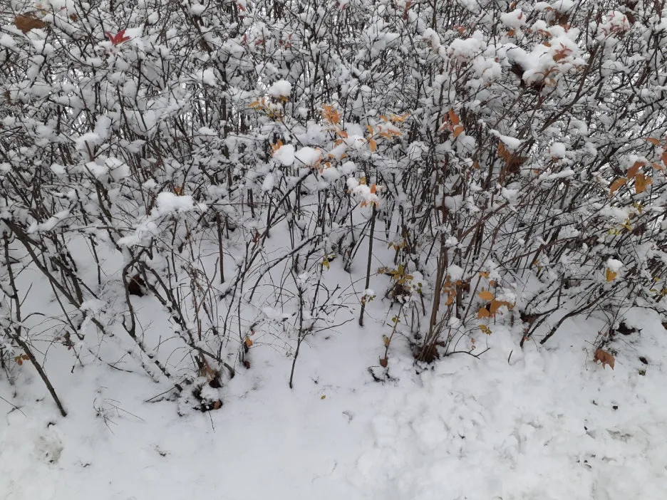 KakaoTalk_20220929_195806204_28.jpg?type=w1