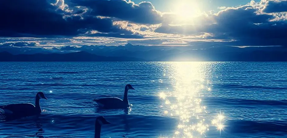 %EC%9C%A4%EC%8A%AC.jpg?type=w1