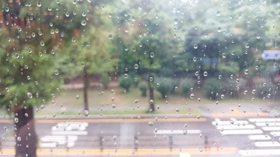 KakaoTalk_20240913_005548069.jpg?type=w1