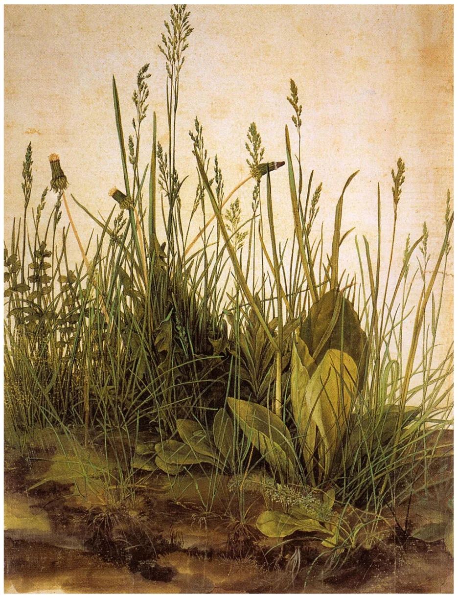 %EC%95%8C%EB%B8%8C%EB%A0%88%ED%9E%88%ED%8A%B8_%EB%92%A4%EB%9F%AC-%EC%9E%94%EB%94%94.jpg?type=w1