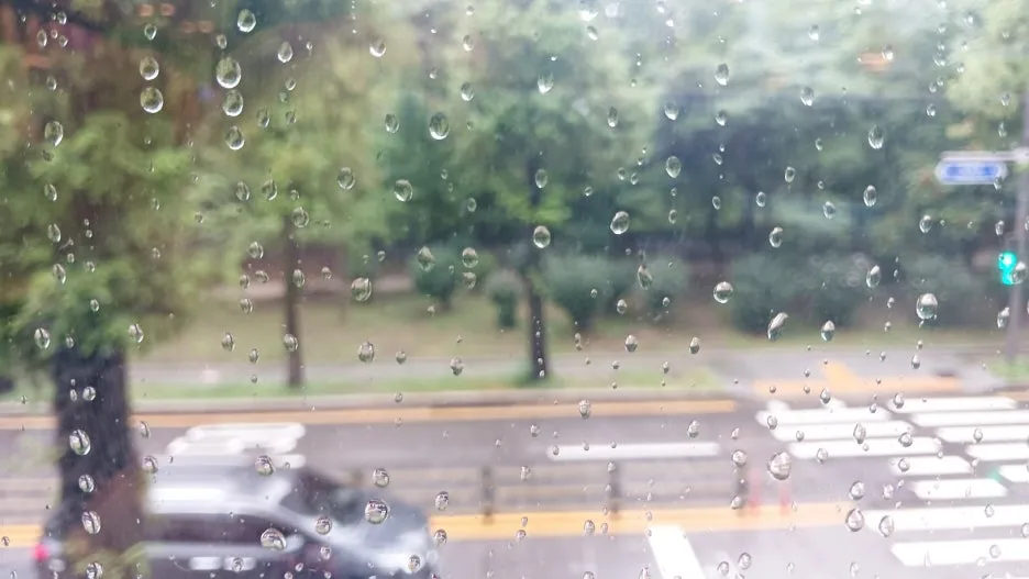 KakaoTalk_20240913_005548069_02.jpg?type=w1