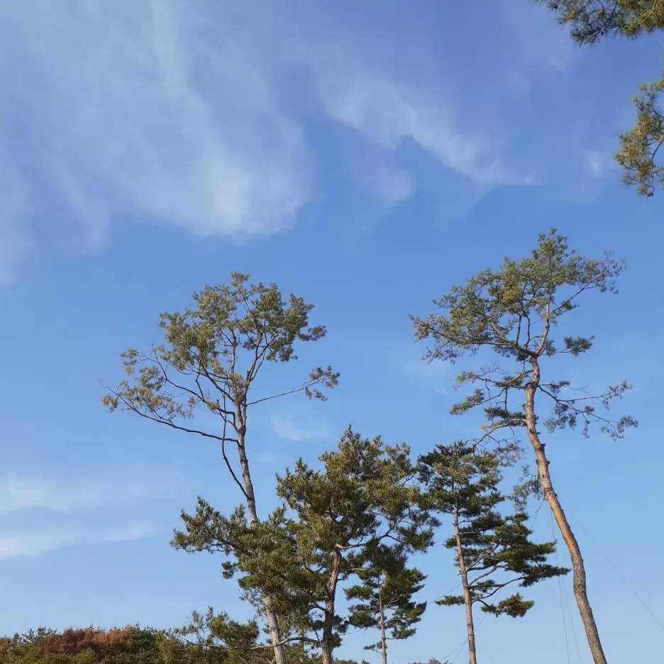 KakaoTalk_20220929_195312113_02.jpg?type=w1