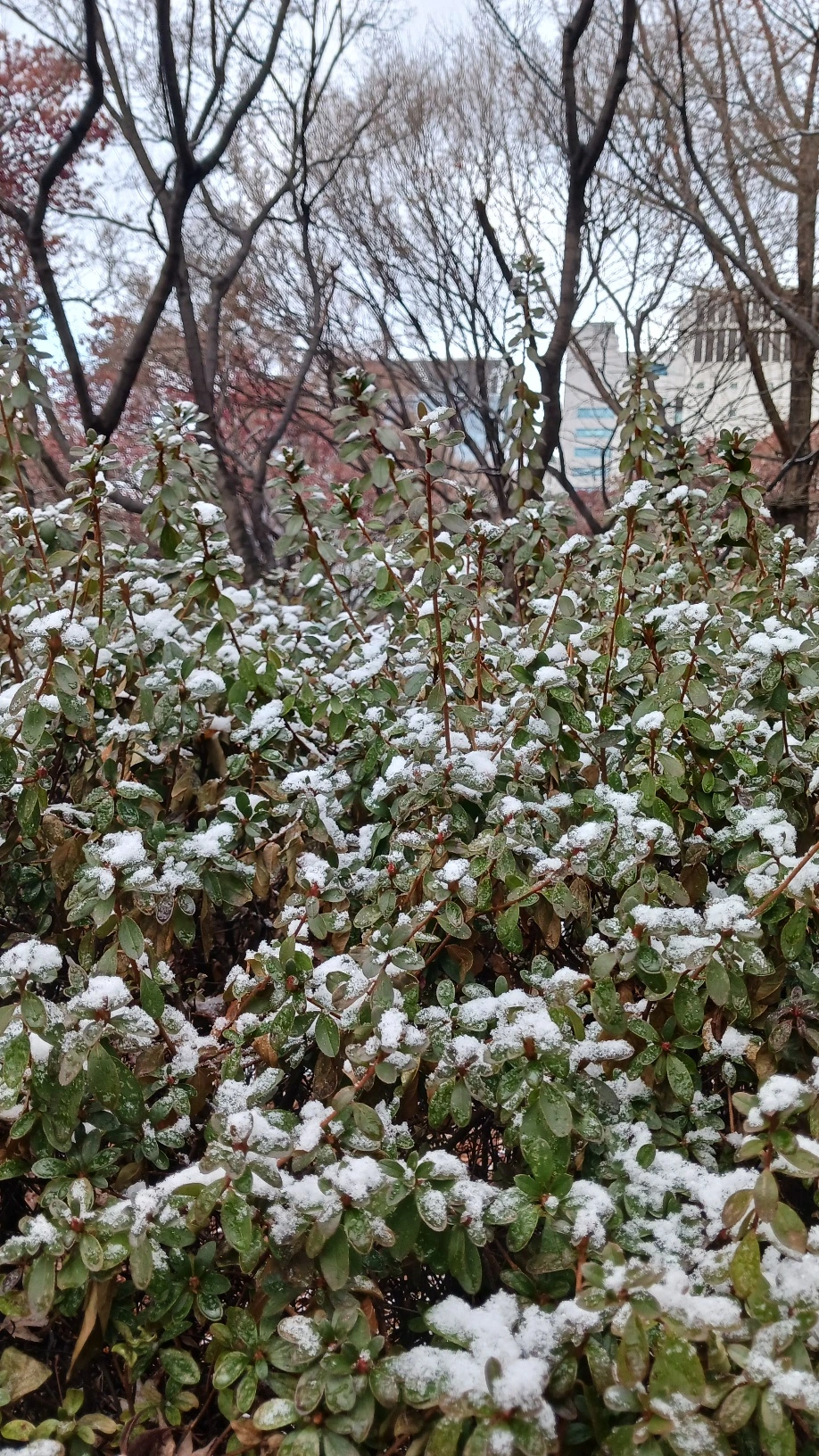 KakaoTalk_20250127_190956098.jpg?type=w1