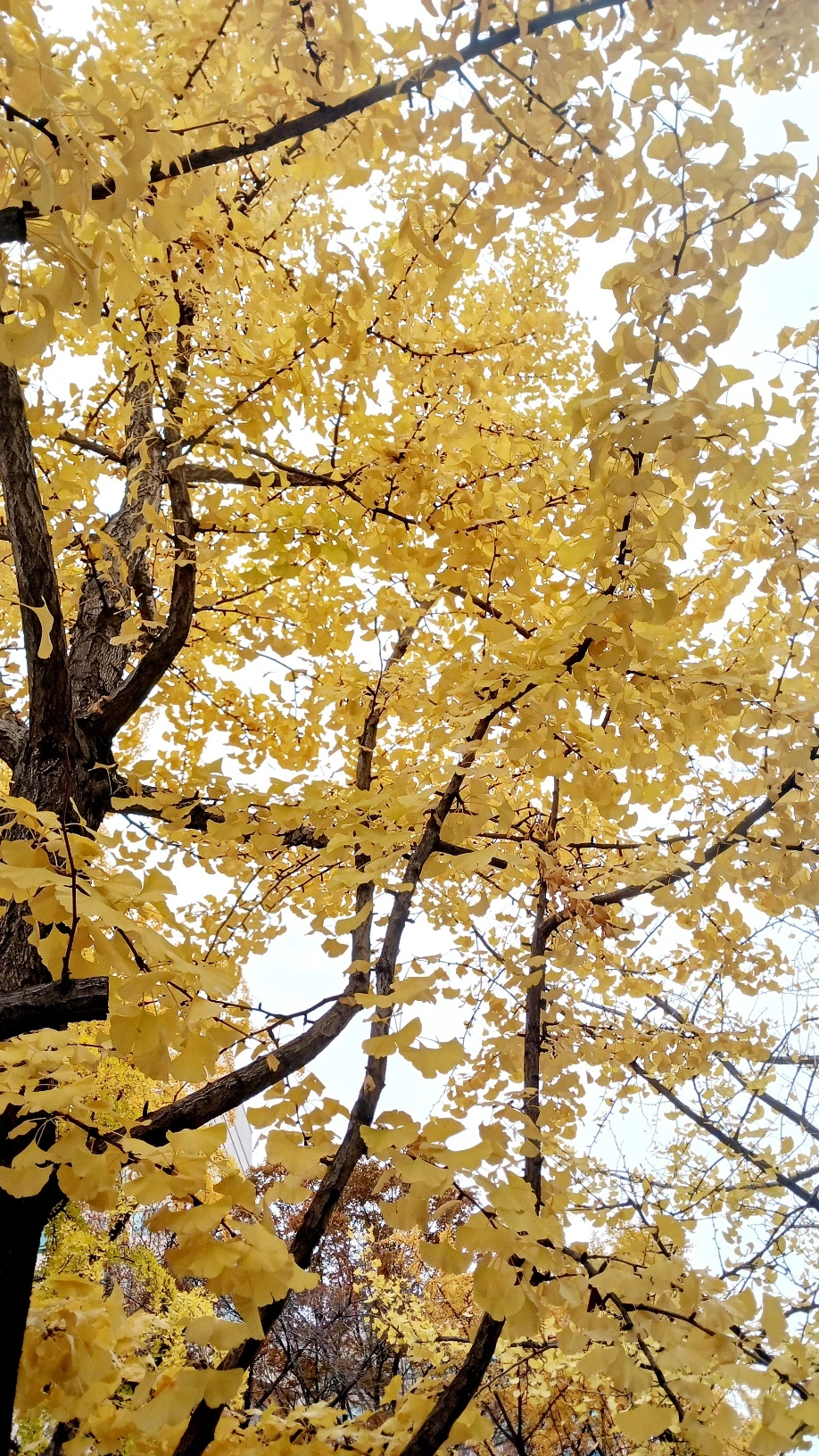 KakaoTalk_20241116_174814738.jpg?type=w1