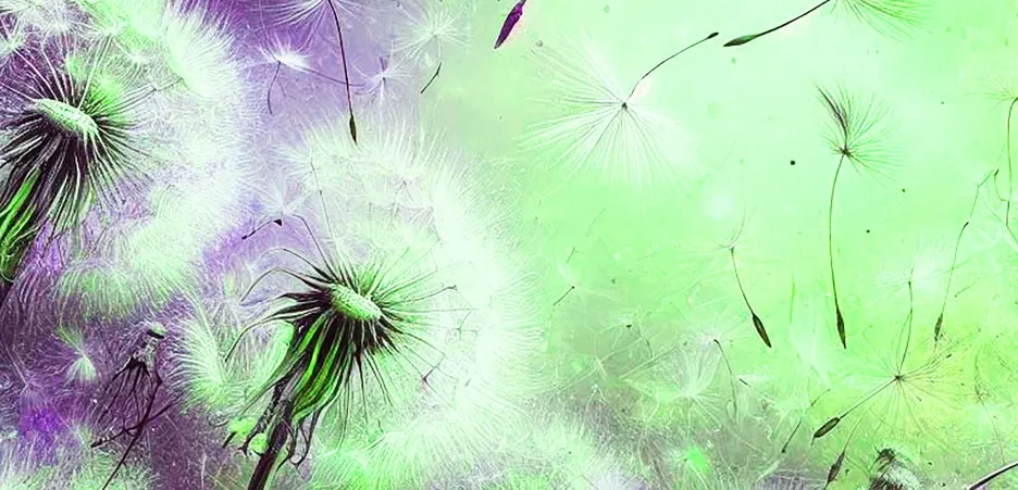 %EB%AF%BC%EB%93%A4%EB%A0%88%ED%99%80%EC%94%A8-9.jpg?type=w1