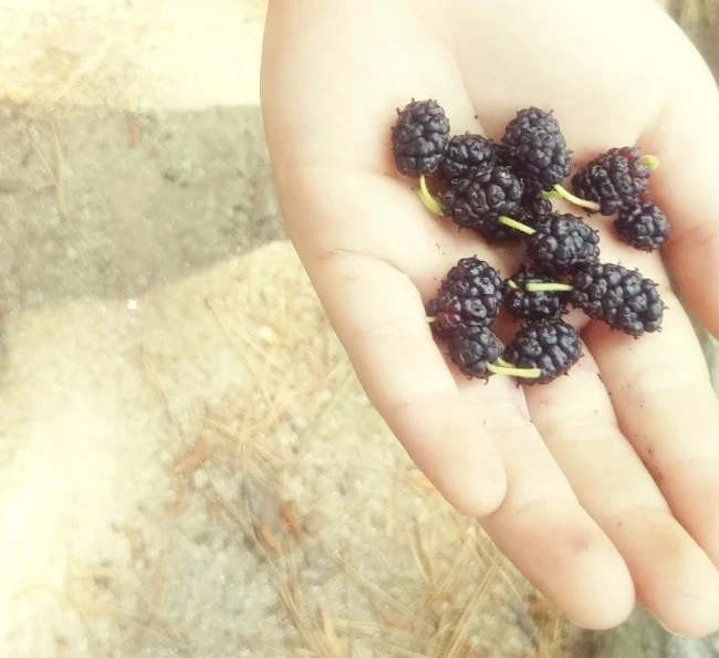 %BB%E7%BA%BB_-C360_2016-05-31-12-02-02-492.jpg?type=w1