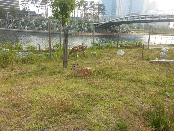 22682749557E2E5F05F2EF