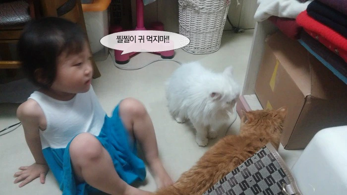 2174AF335561F85F39C037