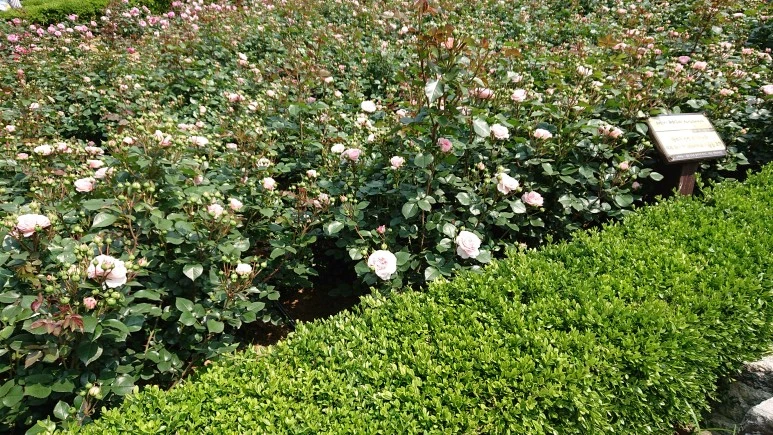 DSC_0257.JPG?type=w773