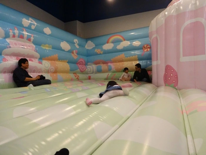 274C0F42556D063D29AE00