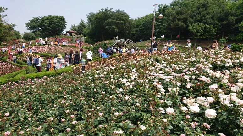 DSC_0260.JPG?type=w773