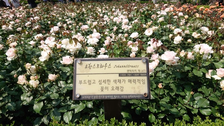 DSC_0277.JPG?type=w773