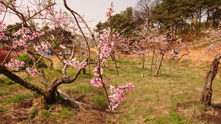 DSC_0259.JPG?type=w773