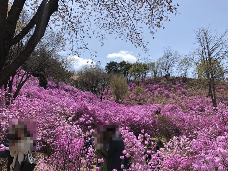 image_7952136201523198949210.jpg?type=w773