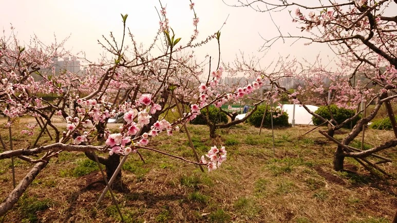 DSC_0263.JPG?type=w773