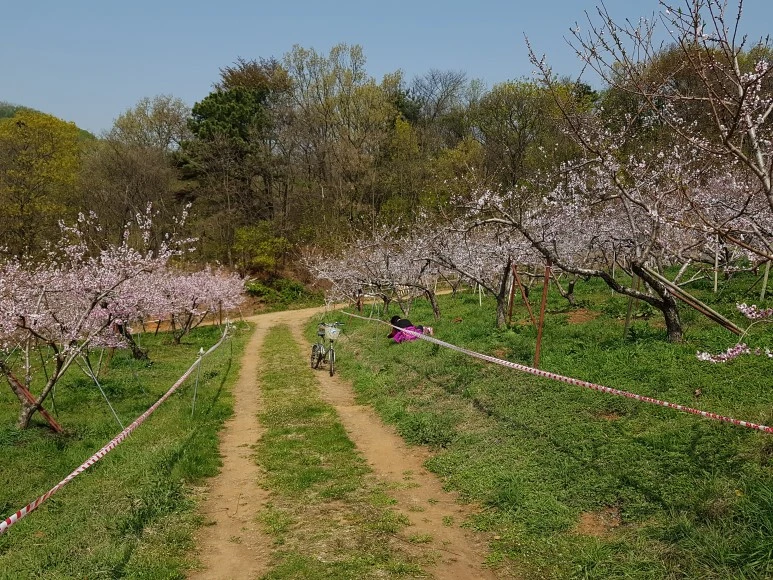 DJI_20180420_102717.jpg?type=w773