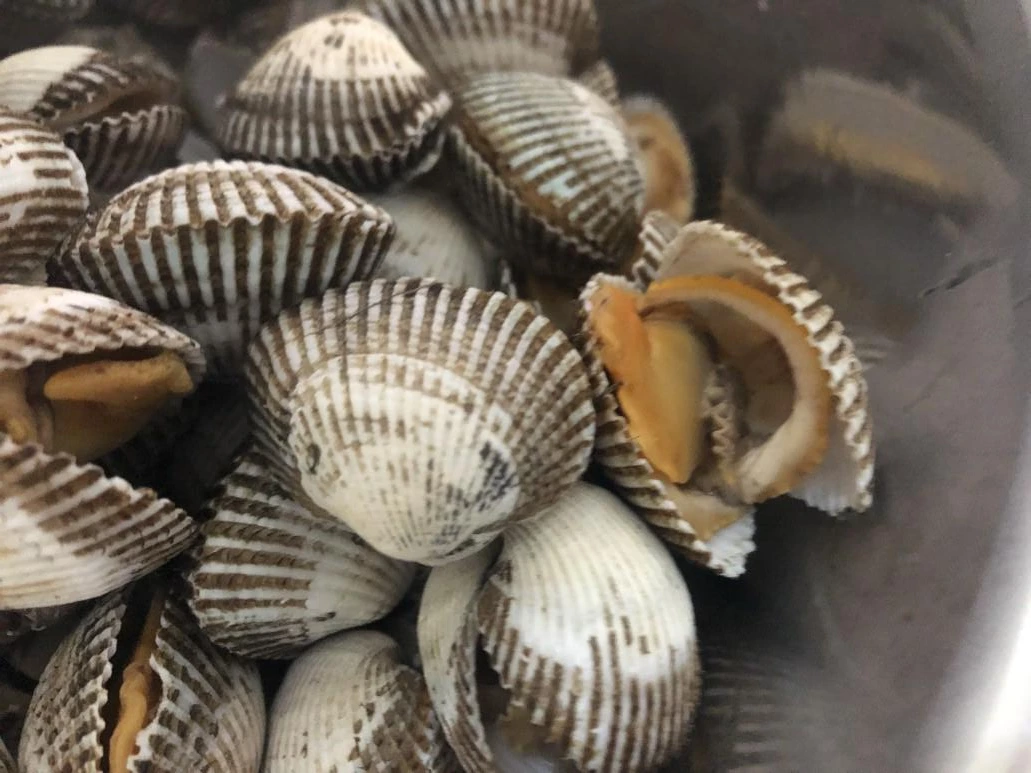 P20181201_201012798_82476296-A089-4790-9BCA-CB7305D9CACF.JPG?type=w773