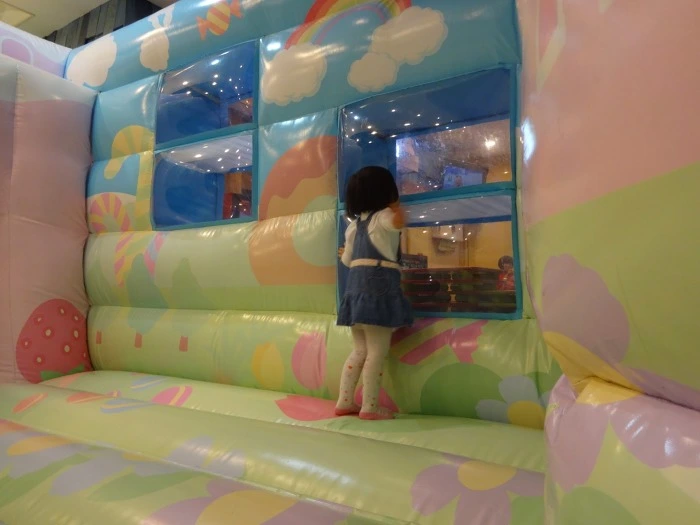 225AA842556D0643242337