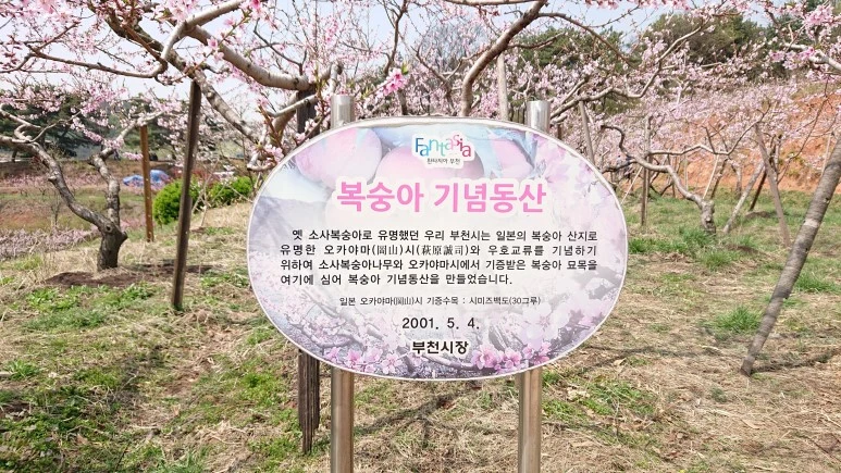 DSC_0267.JPG?type=w773