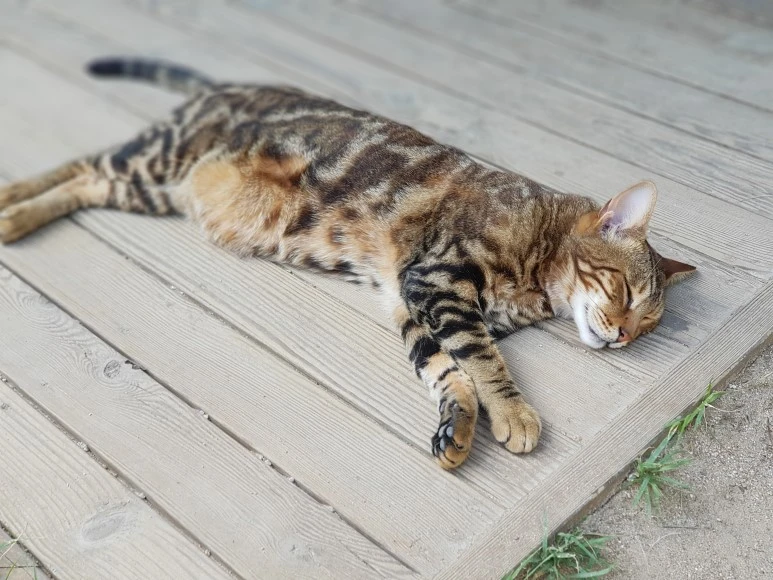 20180707_145824.jpg?type=w773