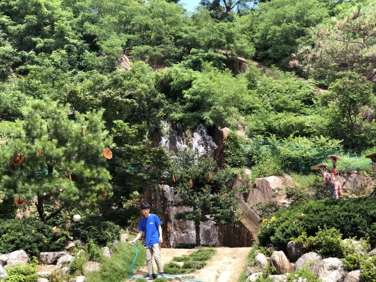 P20180707_142647523_6DEDA3DD-7B3C-4F99-B029-0C2A0BCAD612.JPG?type=w773