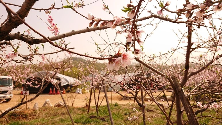 DSC_0265.JPG?type=w773