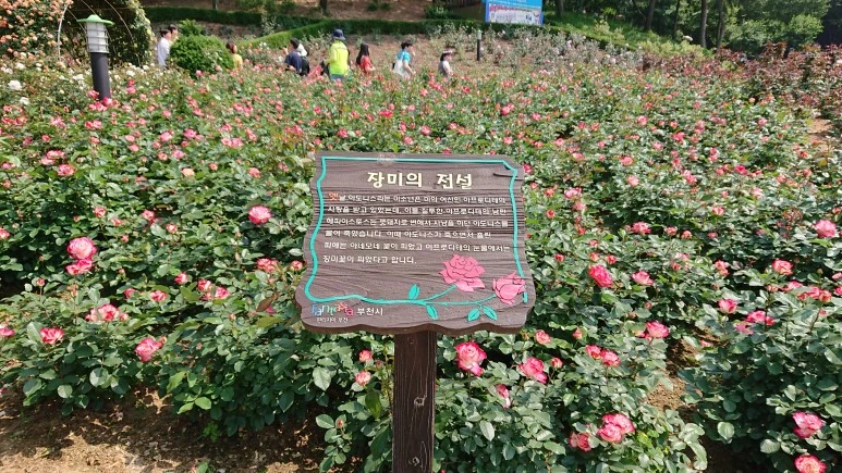 DSC_0278.JPG?type=w773