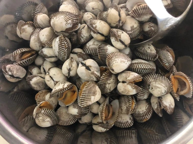 image_4040106521543677942404.jpg?type=w773