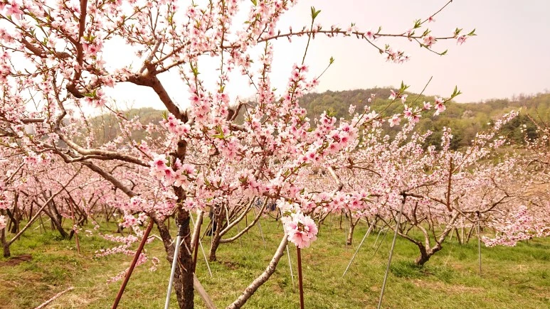 DSC_0236.JPG?type=w773